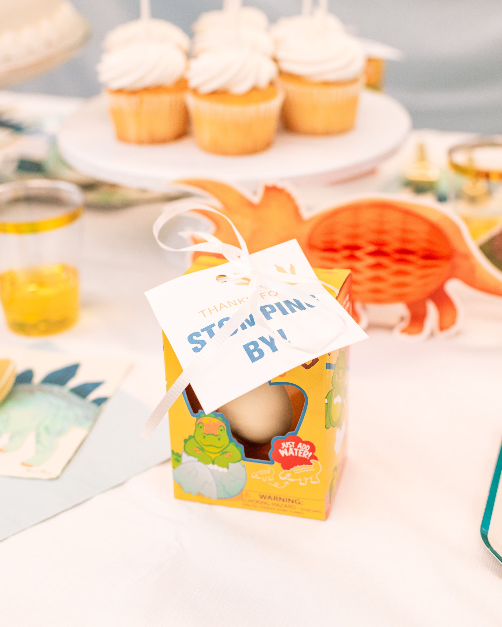 Safari party hats and grow your own dinosaur party favors from the FettiFilled pack