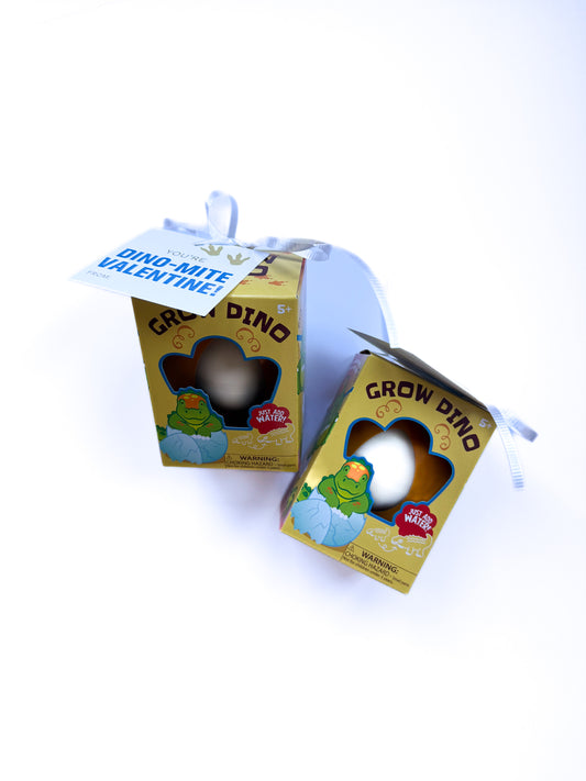 Hatch & Grow Valentine – Growing Toy Valentine with Personalized Name Tag