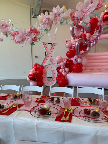 PREORDER - XOXO Petite Party Pack - Valentines Day Party Supplies for 8 Guests